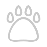 Pets Allowed